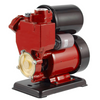 Peripheral/Vortex Pump Booster Pump